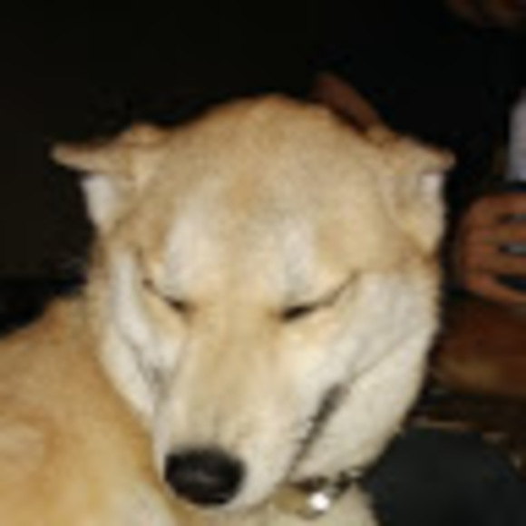 Meet your Posher, Josh - Picture 1 of 1